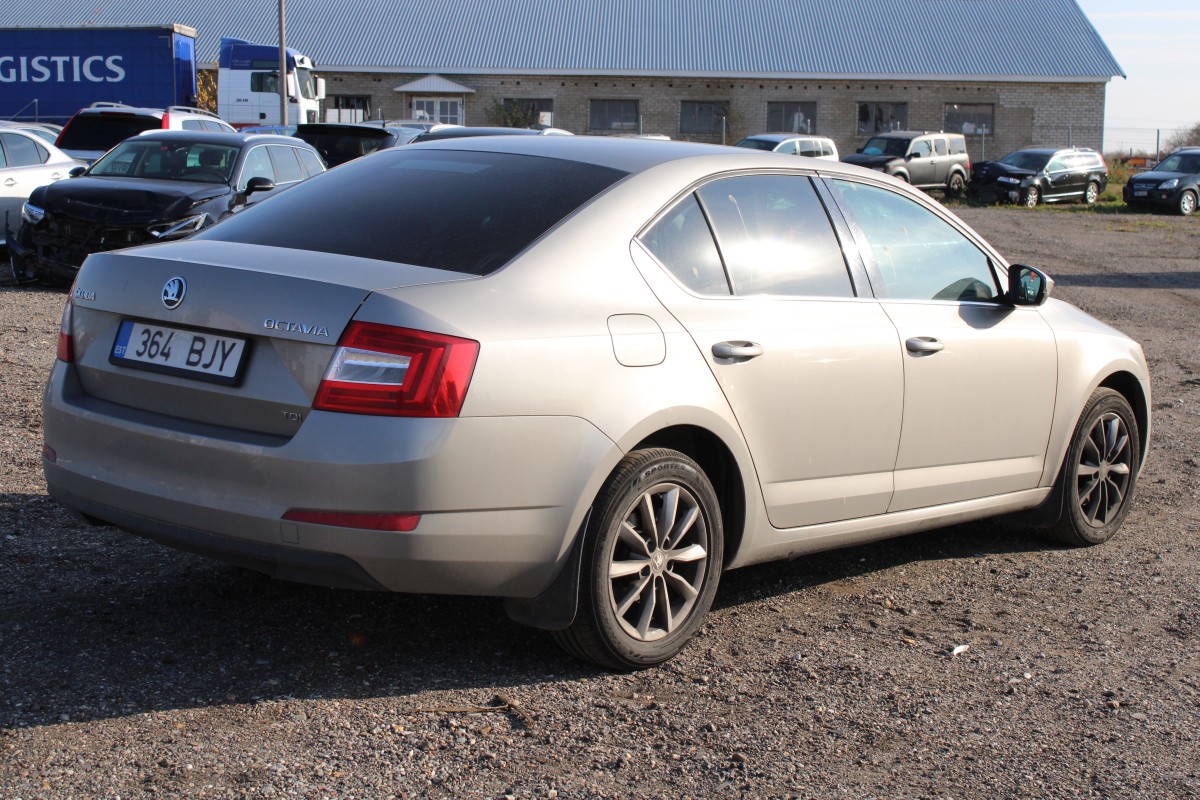 Skoda Octavia - 2013